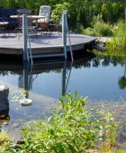 Schwimmteich mit abgetrenntem Reinigungsbereich